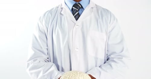 Doctor Holds Model Brain in White Room