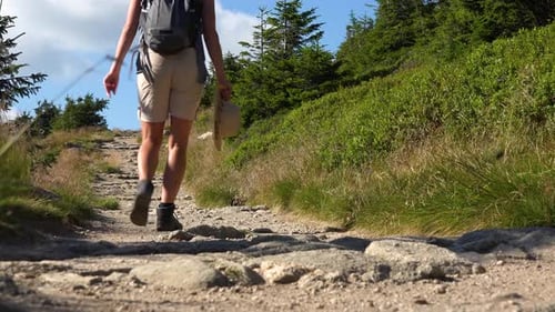 A Woman Walks Up a Trail on a Hill on a Sunny Day - View From the Ground