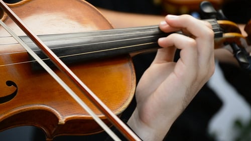Violinist Playing Strings, Close Up Detail