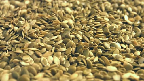Close Up of Nutritious Pumpkin Seeds