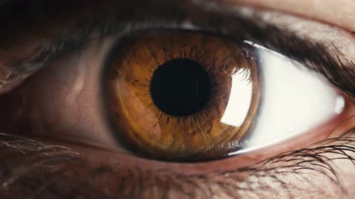 Atemberaubende braune Augen