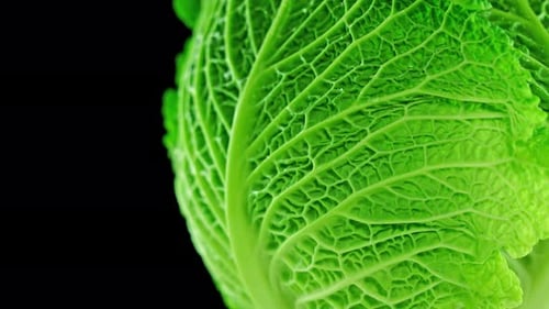 Leckere grüne Kohlblätter auf schwarzem Hintergrund