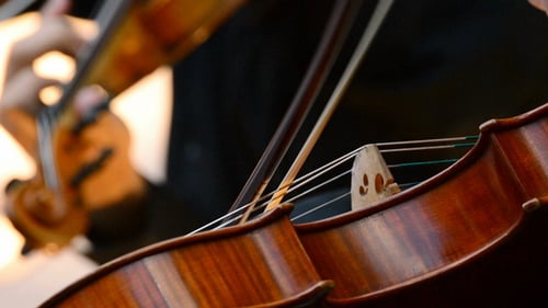 Close Up Violin Playing with Bow on Strings