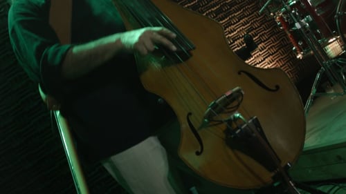 Contrabass Player At Night Club