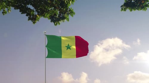 Senegal Flag With Modern City