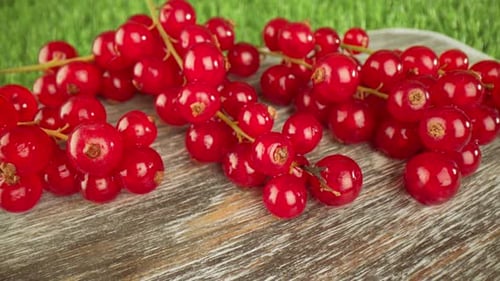Glossy Red Currants on Wood Surface with Green Backdrop