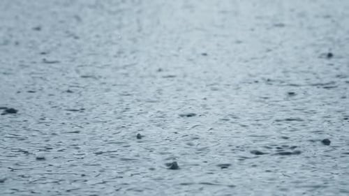 Rains