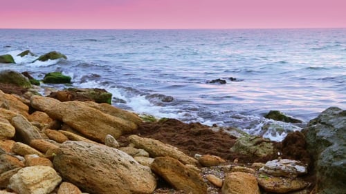 Surfen auf der Rocky Shore