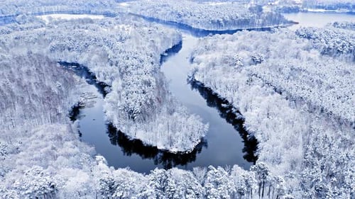 Winter curvy river and snowy forest. Aerial view of wildlife