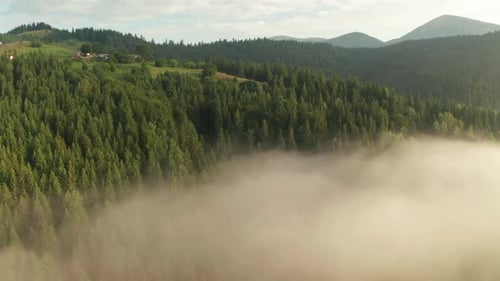 Misty Dawn in den Bergen. Wunderschöne Landschaft