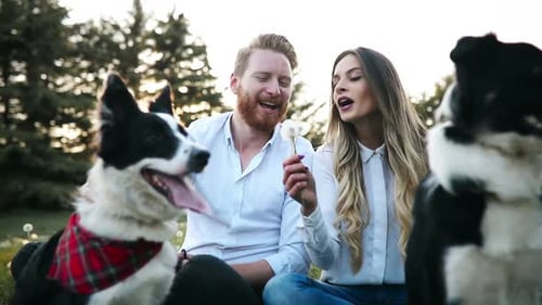 Couple Blowing Dandelion with Dogs in Park