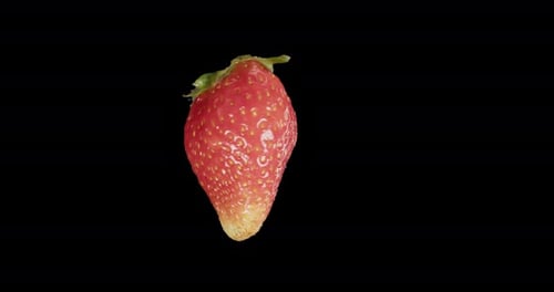 Red Strawberry Rotates Alpha Channel
