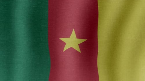 Waving Flag of Cameroon Seamless Loop Background