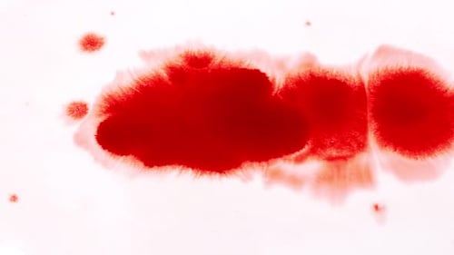 Vibrant Red Ink Spreading on White Background