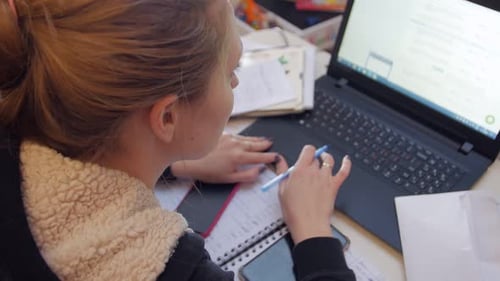 Accountant Working Computer