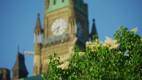 Tower Of Victory And Peace, in Ottawa