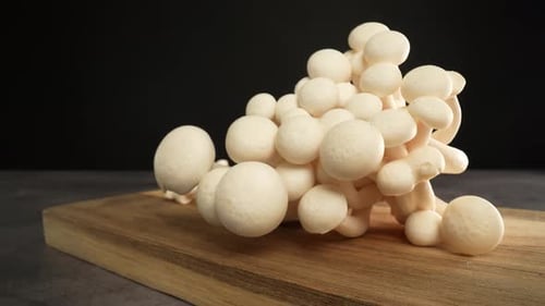 Champiñones Shimeji blancos 10