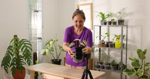 Asian woman showing her small indoor plant and live stream video via smartphone for sell her plants.