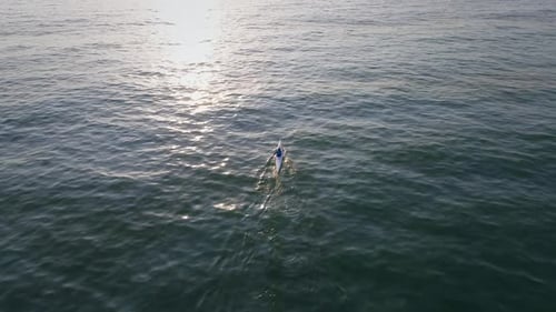 Aerial view above of a man paddling kayak in the sea.