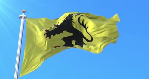 Bandera del Norte en Francia