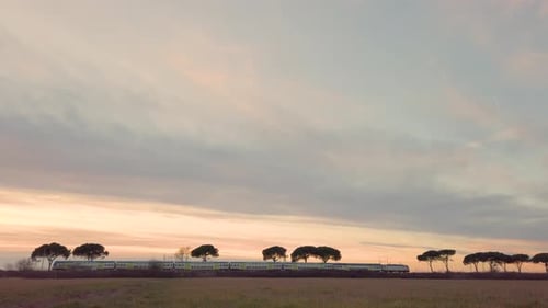 Trainiere im Feld