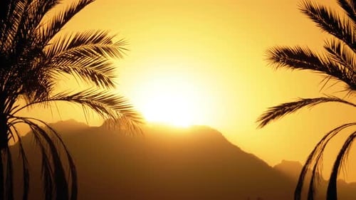 Tropical Sunrise with Silhouetted Palm Trees and Mountains