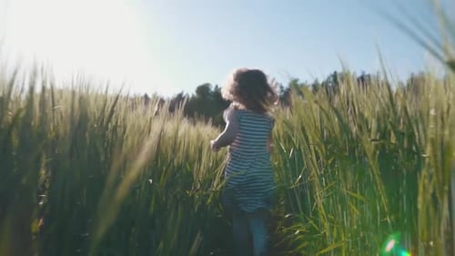 Criança alegre correndo por um campo de trigo ao sol