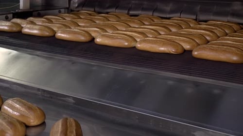 Loaf of Bread on the Production Line in the Bakery. Baked Loaf of Bread in the Bakery, Just Out of