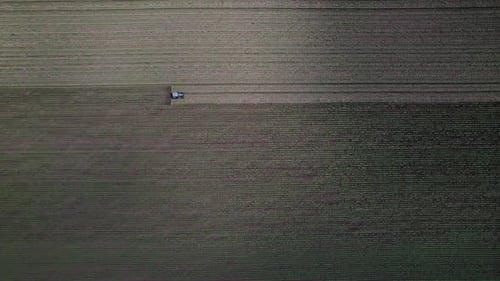Agricultural Small Tractor in the Field