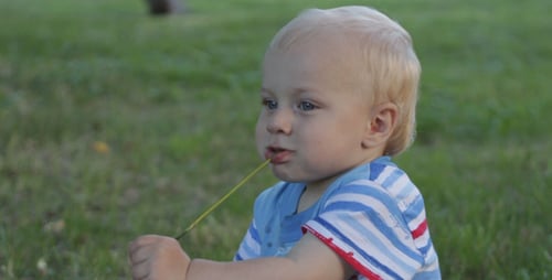 Little Boy