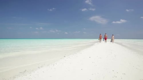 Young People With Flippers Walking on Beach