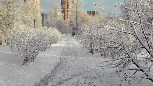 Aerial View of the Winter Park in St