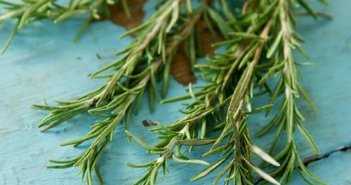 Rosemary sur table en bois 4k