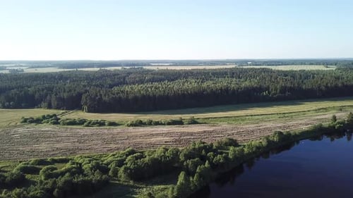 Forest Field River Und Straße 17