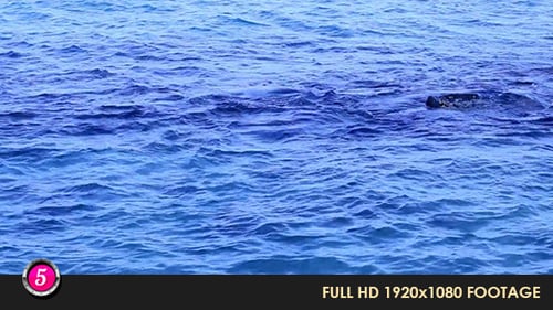 Water Waves 7