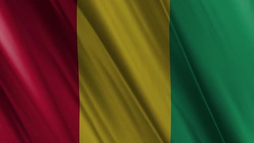 Waving Fabric Flag of Guinea Seamless Loop Background Animation