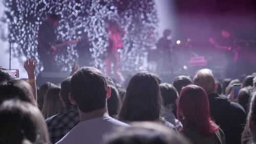 Crowd Making Party at a Rock Concert