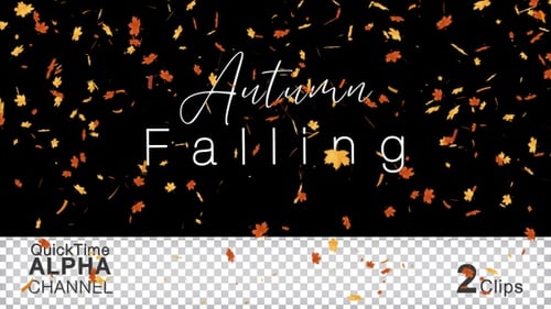Herbstliche Blätter fallen