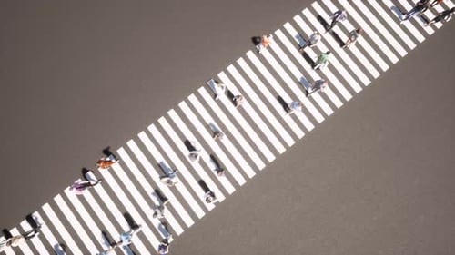 Vista aérea com pedestres Go Zebra, caminhada ao ar livre, pessoa de negócios, rua da cidade