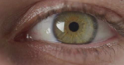 Blinking green eye