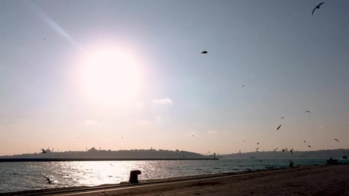 Sunlit Ocean and City Skyline at Sunrise