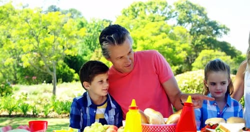 Happy family interacting with each other while having meal in park 4k