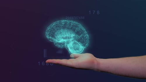Digital Brain Hologram Displayed on Hand
