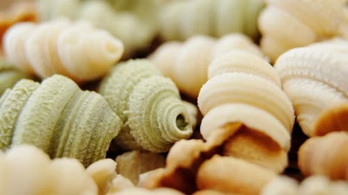 Colorful Shell Pasta Close Up Macro Shot