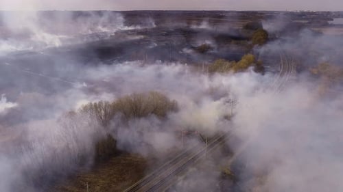 Aerial View of Devastating Wildfire and Smoke