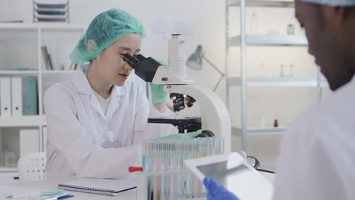 Two Researchers Working Together in Laboratory