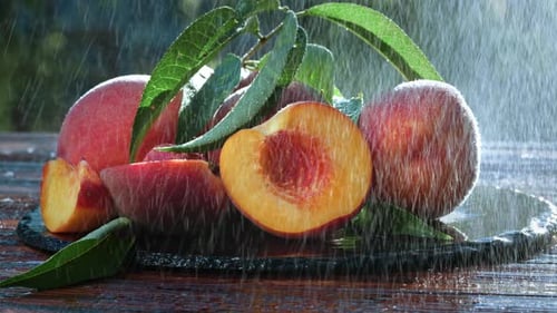 Fresh Peaches with Leaves in Gentle Rain