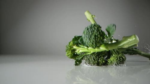 Broccoli Falling in Slow Motion onto Wet Surface