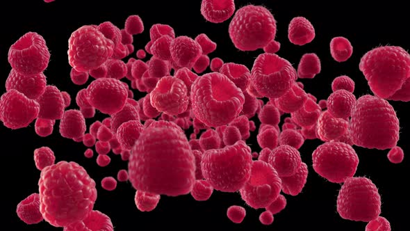 Burst of Raspberry in Black Background, Backgrounds Motion Graphics ft ...