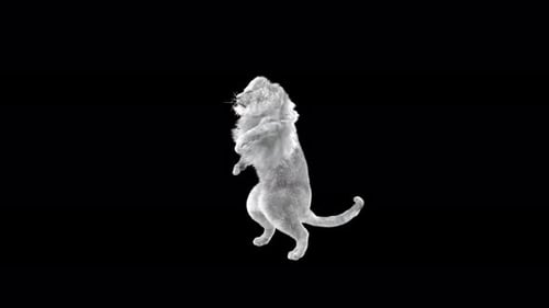 White Lion Dancing 4K
